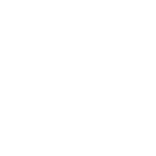 RARX Network Logo